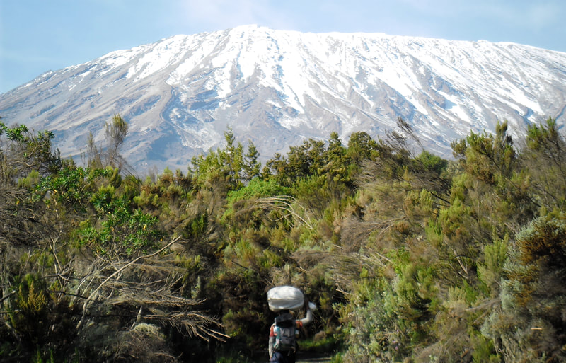 Mount Kilimanjaro Rainforest